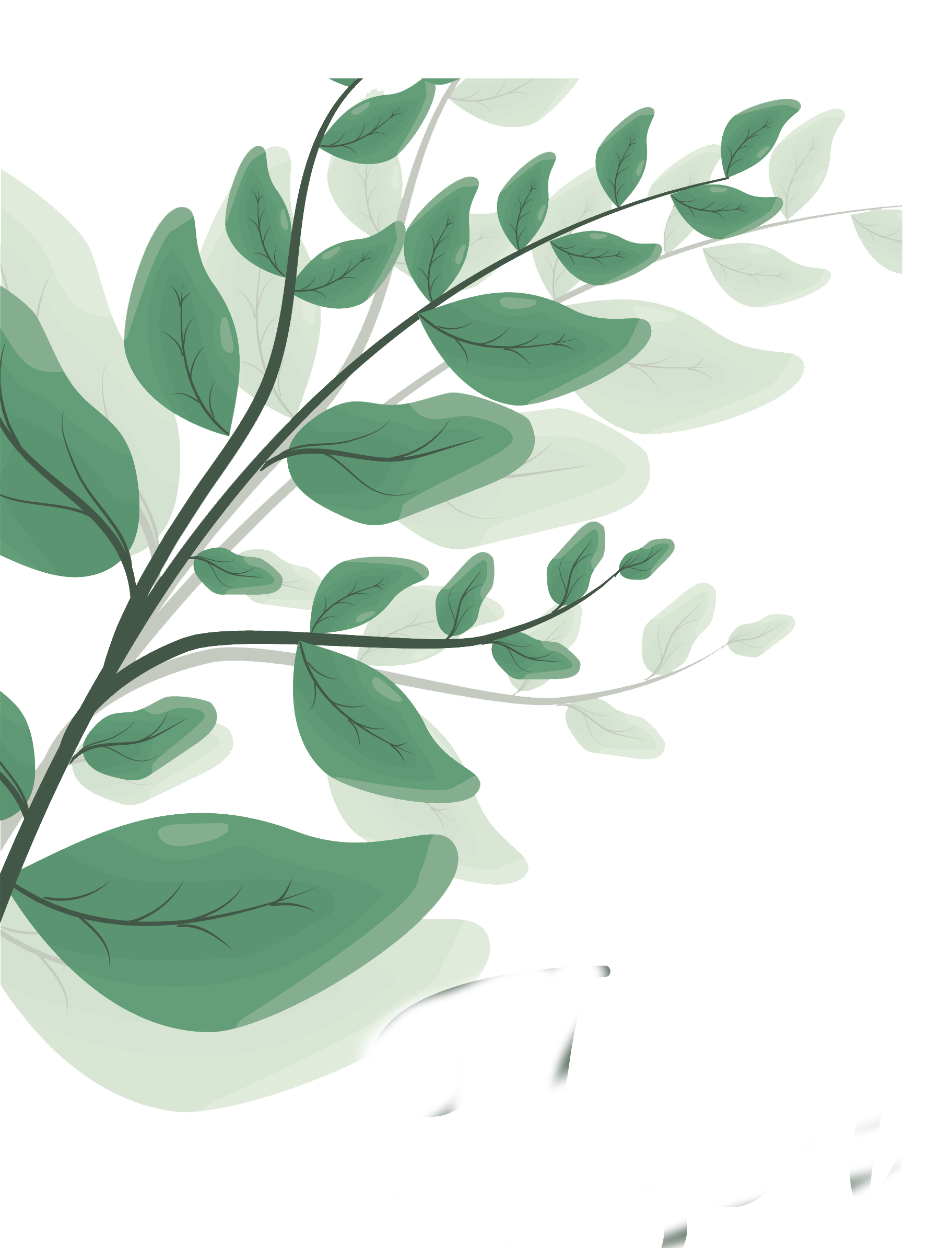 Decorative Leaf