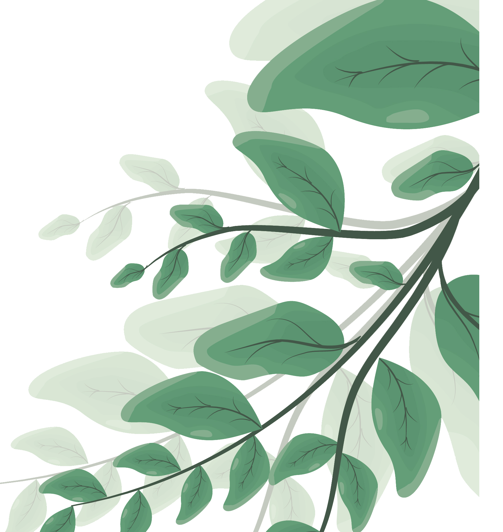 Decorative Leaf